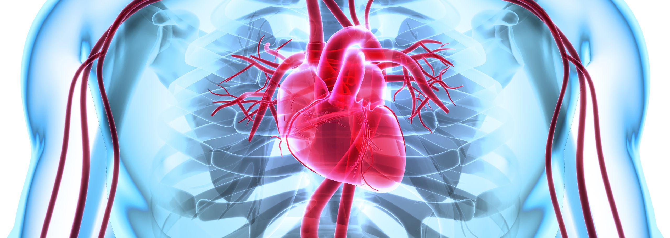 HerzKreislauferkrankungen (Kardiologie)